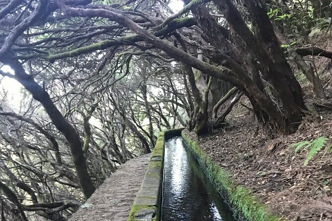 Twenty-Five Fountains Levada walks (private) - A Detailed Look at the Twenty-Five Fountains Levada Walk