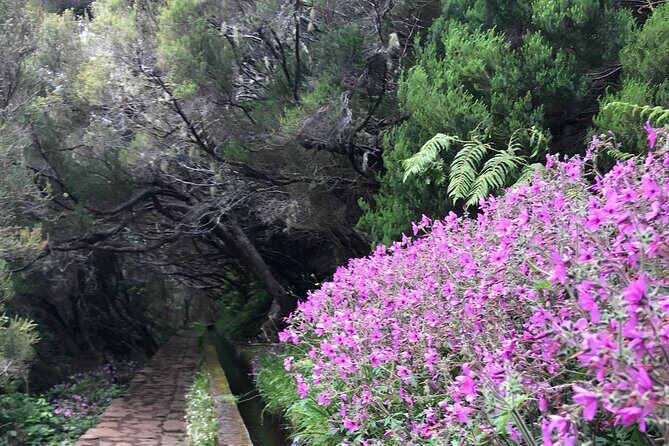Twenty-Five Fountains Levada walks (private) - FAQs