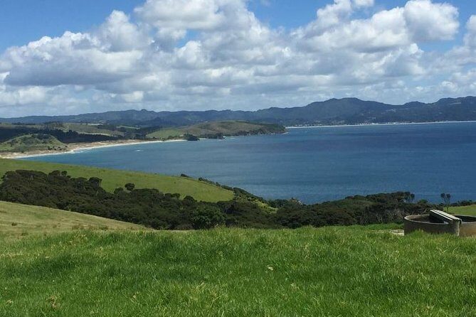 Twharanui- Get away from it all and experience New Zealand at its best - private tour - An In-Depth Look at the Twharanui Private Tour