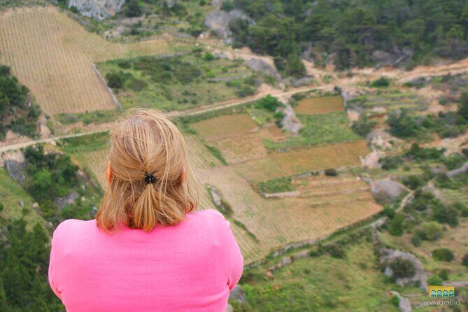Twice the Wine - Two wineries half day tour, with delicacies - The Highlighted Wineries