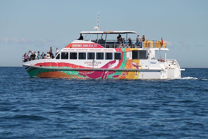 Twilight Bay Cruise in Hervey Bay - A Deep Dive into the Twilight Bay Cruise Experience