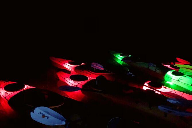 Twilight Black Canyon Kayak Tour with Bonfire Experience - A Typical Day on the Water: How the Itinerary Unfolds