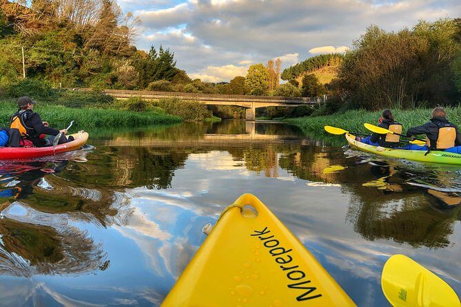 Twilight Glowworm Kayak Tour  Lake Karapiro - The Sum Up