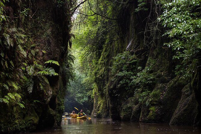 Twilight Glowworm Kayak Tour  Lake Karapiro - FAQ
