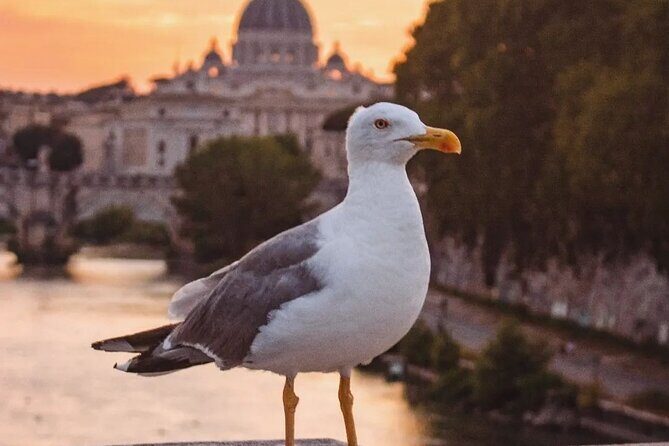Twilight Magic: Private Golf Cart Tour of Rome with Aperitivo - Possible Drawbacks or Considerations