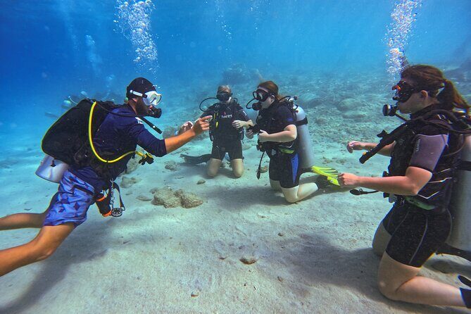 Two and a Half Hours Scuba Diving Experience in Curacao - Quick Look: The Essentials of the Curacao Scuba Experience