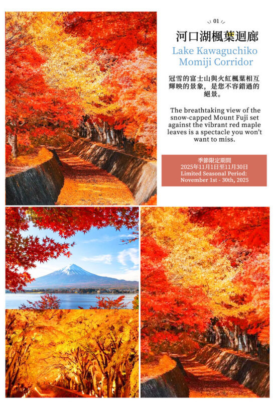 Two-Day Mount Fuji Cycling Tour | Kawaguchiko Panoramic Ropeway & Matcha Experience + Oishi Park + Oshino Hakkai + Hirano no Hama + Yamanakako Cycling / Boat Trip + Popular Check-In Spots | Includes 1 Night Hot Spring Hotel - Oishi Park or the autumn Maple Corridor