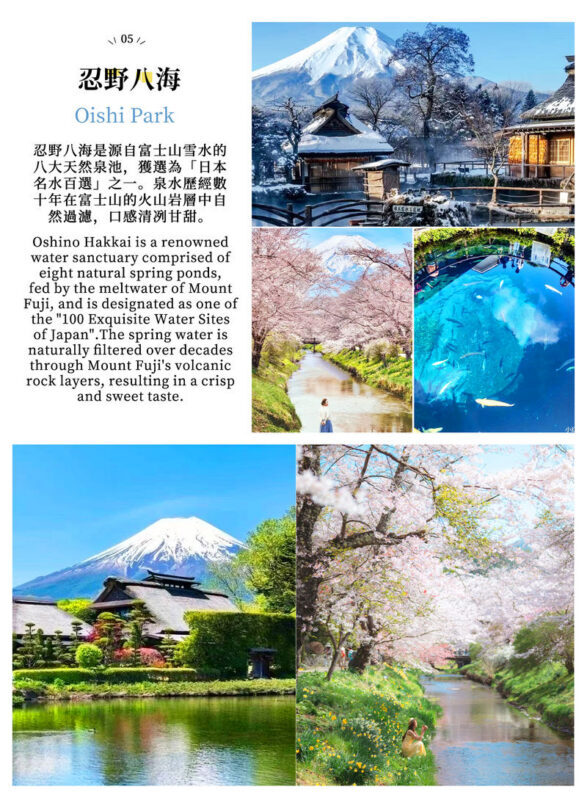 Two-Day Mount Fuji Cycling Tour | Kawaguchiko Panoramic Ropeway & Matcha Experience + Oishi Park + Oshino Hakkai + Hirano no Hama + Yamanakako Cycling / Boat Trip + Popular Check-In Spots | Includes 1 Night Hot Spring Hotel - Lake Yamanaka by bike, or by boat in heavy rain