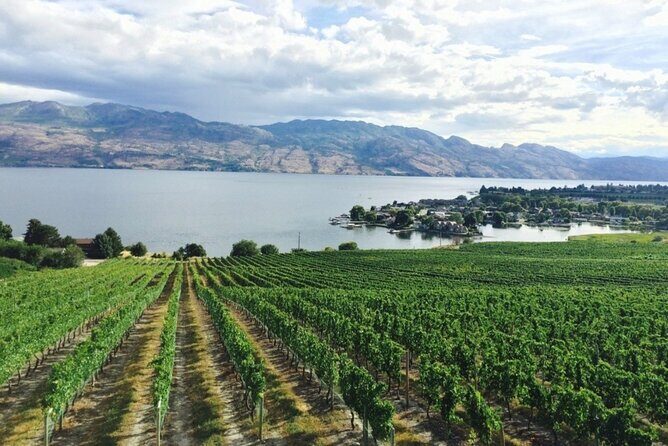 Two Day Private Wine and Bike Tour Vancouver to Kelowna - Discover British Columbia’s Wine Country on a Two-Day Private Tour