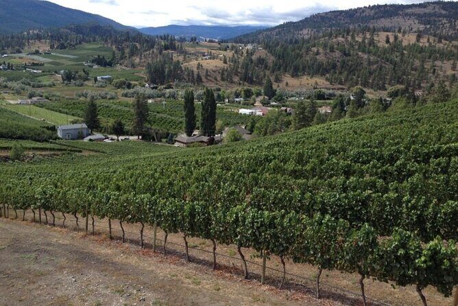 Two Day Private Wine and Bike Tour Vancouver to Kelowna - Final Thoughts