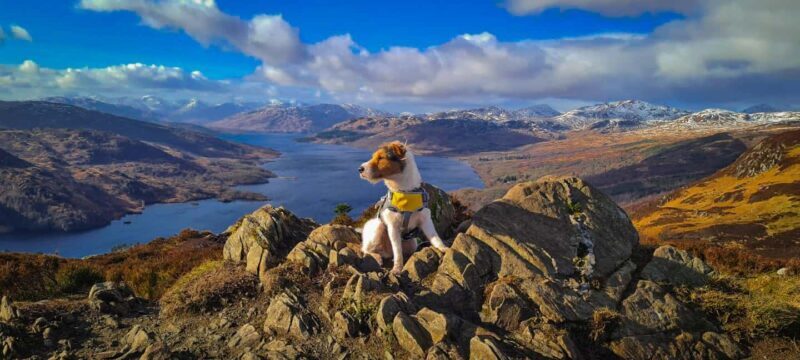 Two Day Taster Tour of Skye and the Highlands - Who Will Love This Tour?