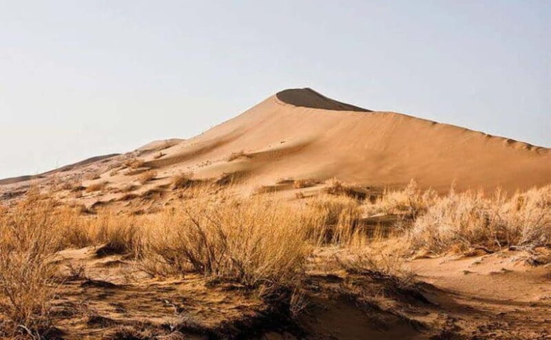 Two Day Tour to Altyn Emel: Singing Dune and Aktau Mountain - Authentic Experiences and Highlights
