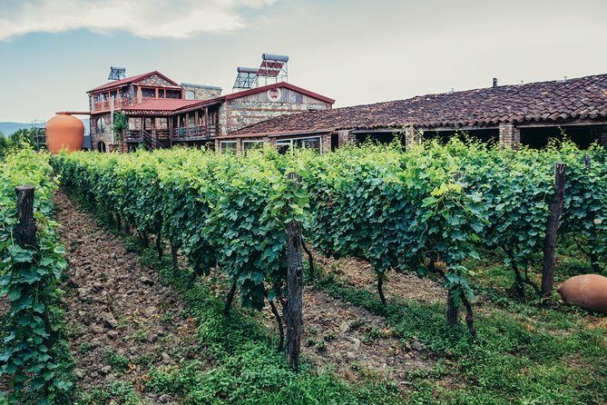 Two Days in Gorgeous Wine Region with Full board Meals and Tastings From Tbilisi - In Summary