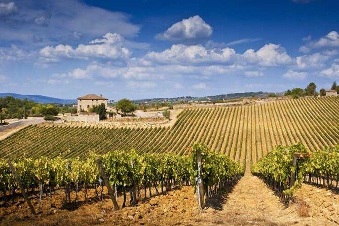 Two days of Tuscany discovering the Nobile, Brunello, Chianti area - Key Points