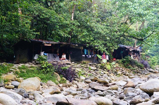 Two days orangutans adventure in Gunung Leuser - Who Should Consider This Tour?