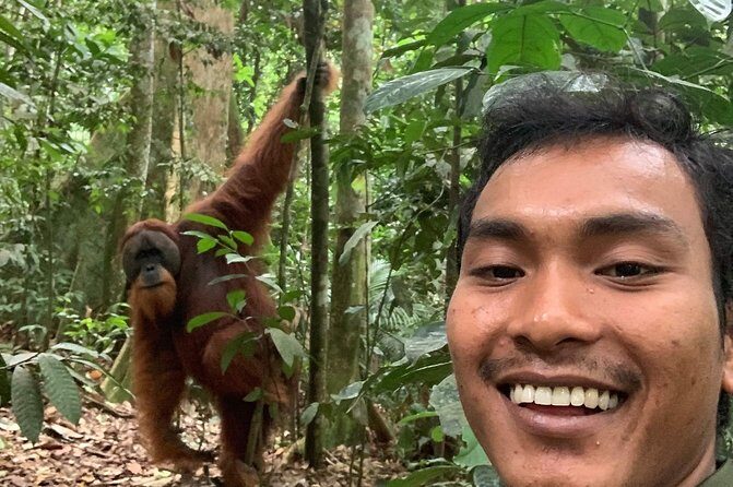 Two days orangutans adventure in Gunung Leuser - FAQ