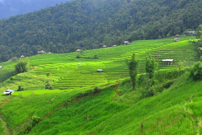 Two Days Pa Pong Piang - The Sum Up