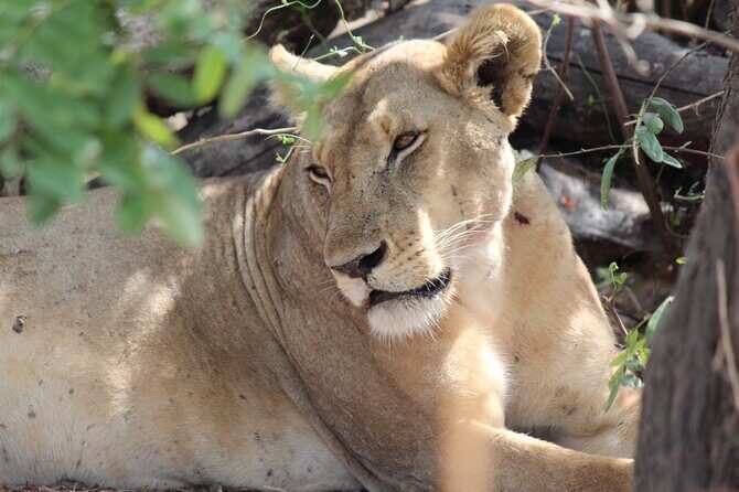 Two Days Safari by Train - Frequently Asked Questions (FAQs)