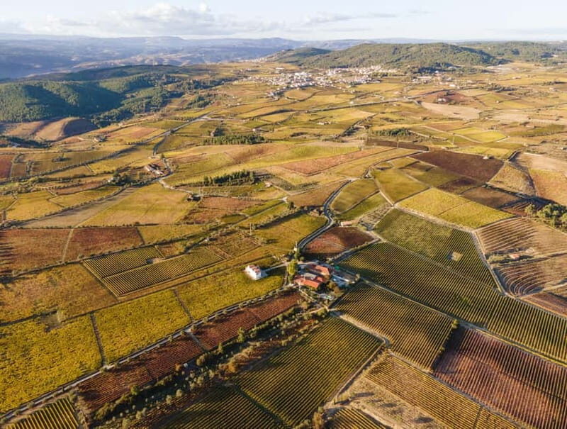 Two days to visit Fall Foliage in Douro Valley - Two days to visit Fall Foliage in Douro Valley