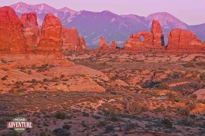 Two-Hour Hummer Safari - In-Depth Look at the Two-Hour Hummer Safari