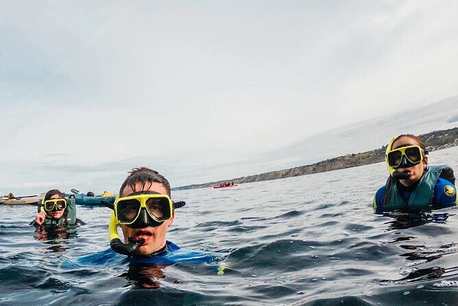 Two Hour Kayak and Snorkel Tour for Two in La Jolla - Exploring the Tour in Detail