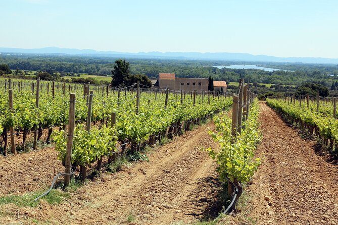 Two intensive days discover exceptional wines of the Rhône valley - A Deep Dive into the Rhône Valley Wine Tour