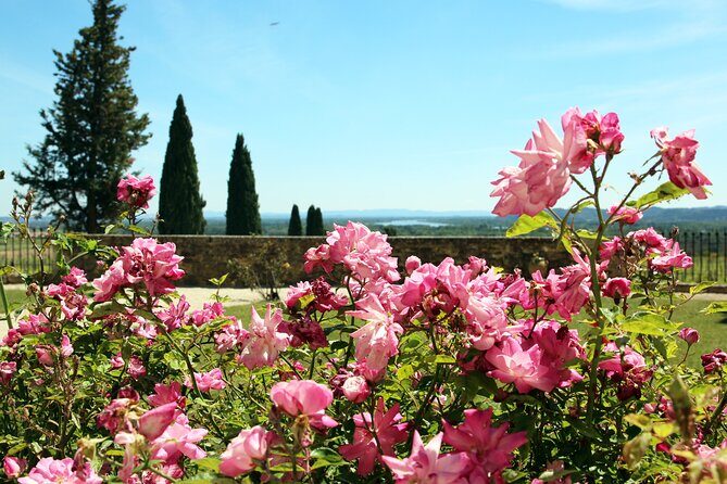 Two intensive days discover exceptional wines of the Rhône valley - Practical Details & Considerations