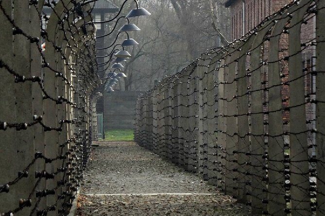Two Krakow Airport Transfers, Auschwitz-Birkenau & Salt Mine - Who Is This Tour Best For?