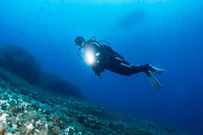 Two Morning Dives in Gozo for Certified Diver - Key Points