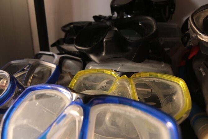 Two Morning Dives in Gozo for Certified Diver - The Value of This Diving Experience