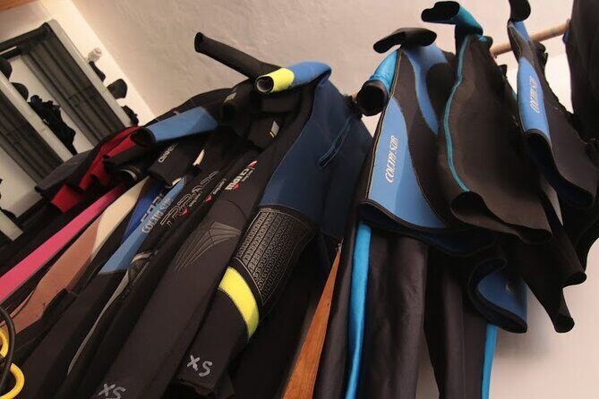 Two Morning Dives in Gozo for Certified Diver - Authentic Feedback from Participants
