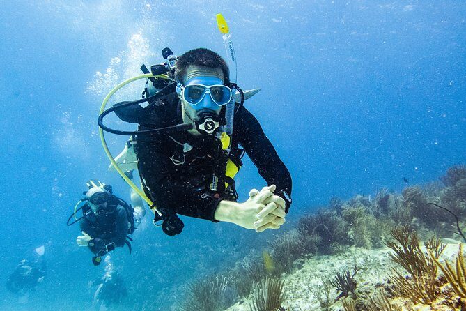 Two reef discovery dives with professional instructor (no experience necessary) - Key Points