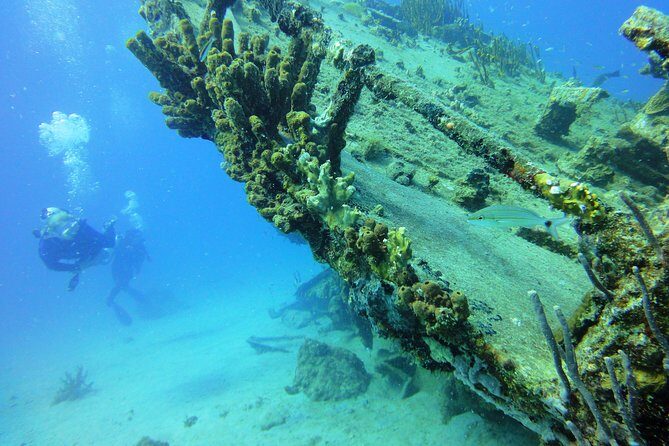 Two-Tank Dive for Certified Diving in St Thomas - The Sum Up
