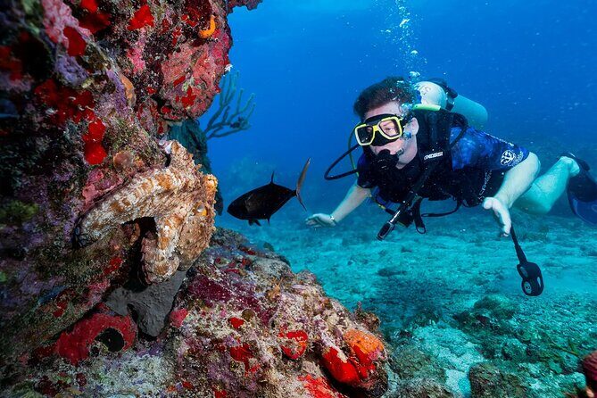 Two-Tank Morning Dive Trip for Certified Divers - FAQs