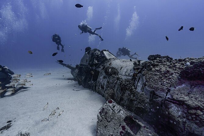 Two Tank Wreck and Drift Dive in Oahu - Key Points