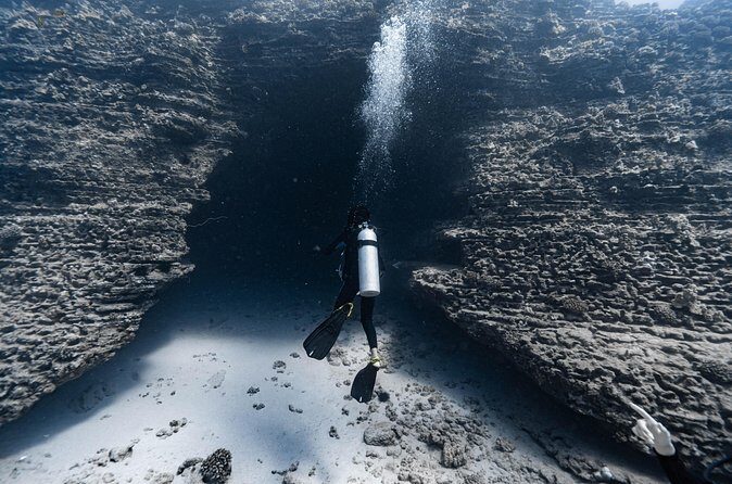 Two Tank Wreck and Drift Dive in Oahu - Final Thoughts