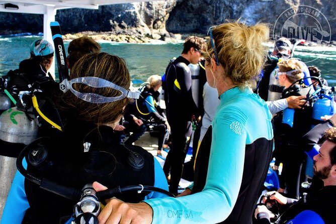 Two Tanks Scuba Diving Tour at Catalina Islands & North Island - CR - Final Words: Is This the Right Tour for You?
