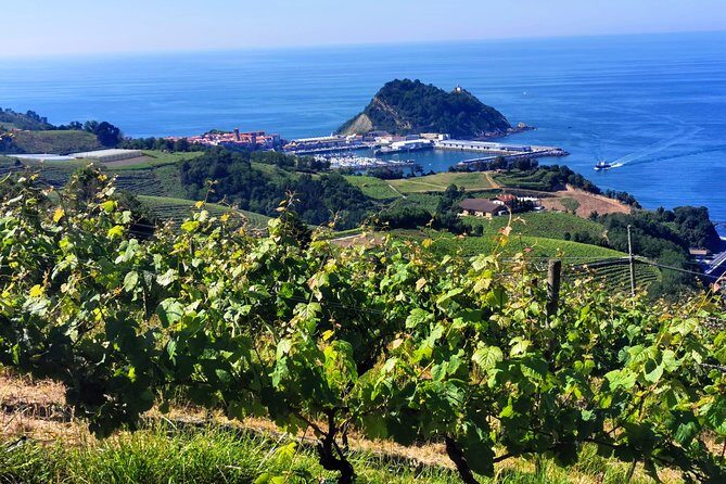 TXAKOLI vineyards HIKE, ZUMAIA and GETARIA - Private Outdoor & Gastronomic Tour - Exploring the Basque Coast: TXAKOLI Vineyards Hike, Zumaia, and Getaria
