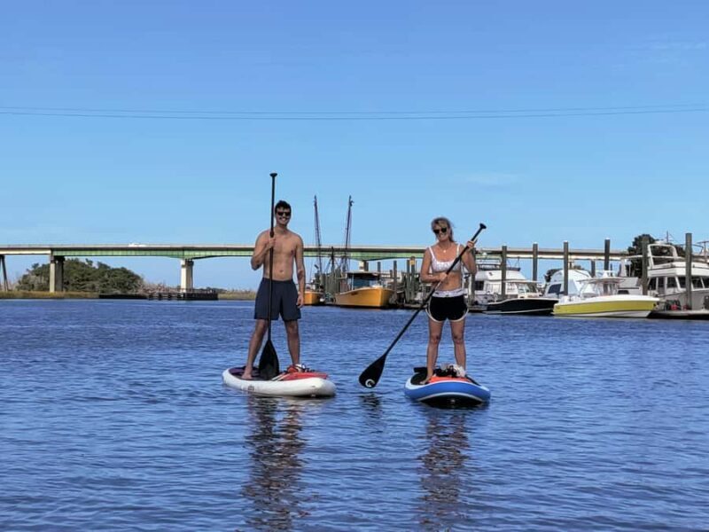 Tybee Island: Paddleboard Tour with optional Yoga Stretch - Key Points
