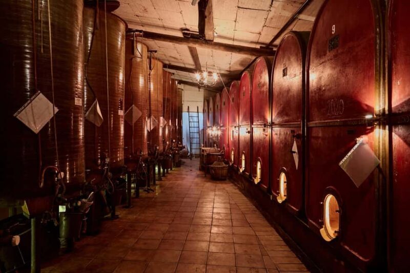 Typical experience in Monferrato: winery tour, tasting, and lunch - Exploring the Heart of Monferrato: Winery and Food in a Beautiful Setting
