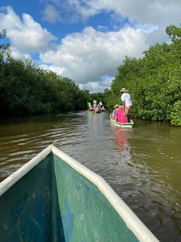 Typical lunch on beach, mangrove tour & fishing with natives - A Genuine Look at Cartagena’s Mangrove and Fishing Community Tour