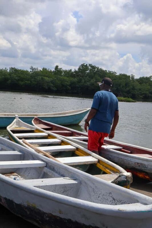 Typical lunch on beach, mangrove tour & fishing with natives - Authenticity, Guides, and Overall Value