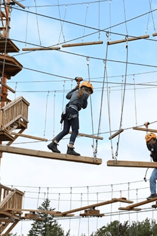Tyroparc: La Cité des Bois Obstacle Course in Laurentians - Key Points