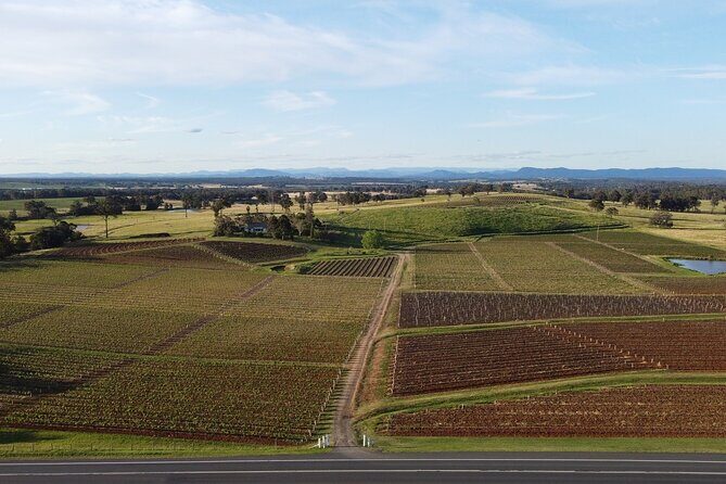 Tyrrell's Vat 1 Vertical Wine Tasting in Pokolbin, NSW - The Sum Up