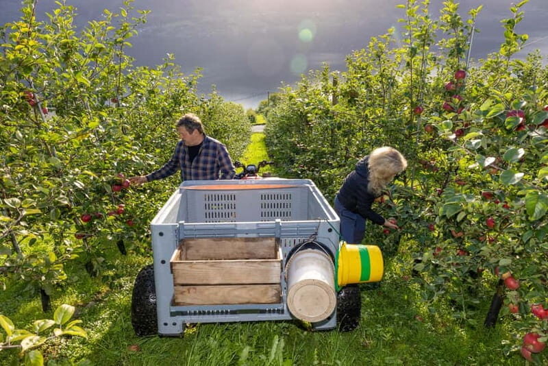 Tyssedal: Cider Tasting Tour - Practical Tips
