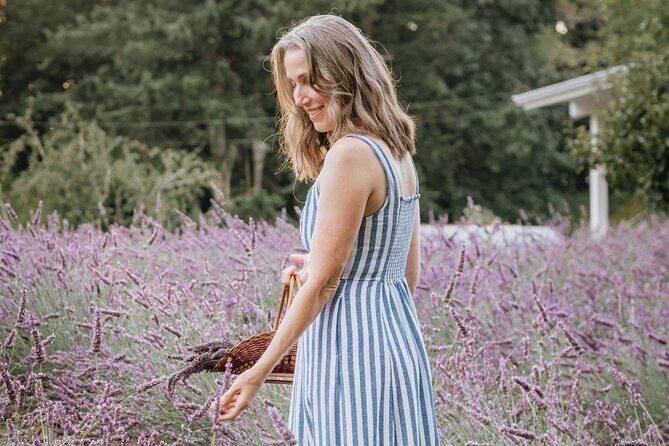 U-Pick Lavender Experience on Bainbridge Island - A Fresh Take on Bainbridge Island’s Lavender Farm Experience