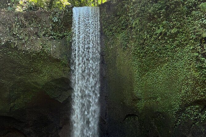 Ubud 4 Waterfall Tour with Private Driver - Key Points