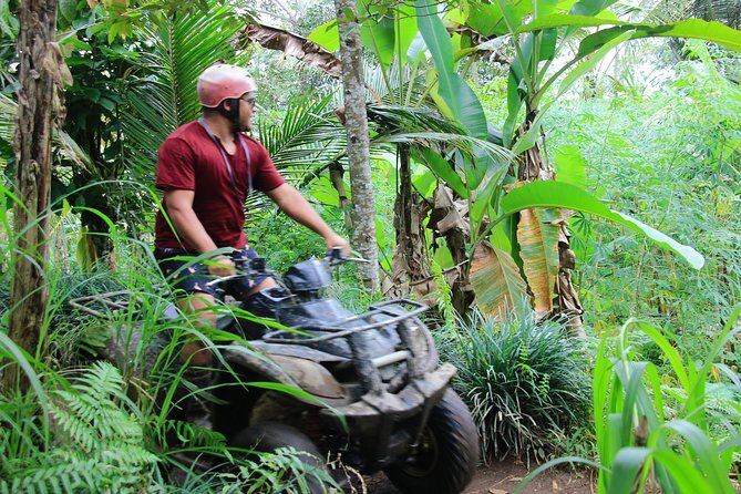 Ubud ATV Quad Bike and Kintamani Volcano Tour - Key Points