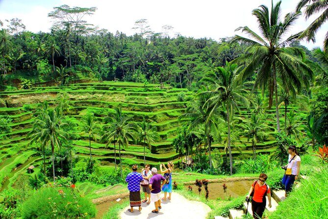 Ubud ATV Quad Bike and Kintamani Volcano Tour - Who Is This Tour Best For?