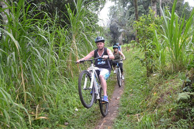 Ubud Bali Cycling Tour - The Itinerary: What to Expect from Ubud Bali Cycling Tour
